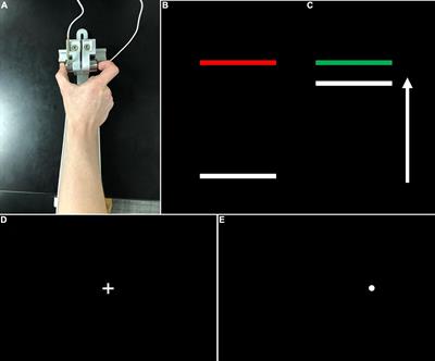 Cerebellar Volumes and Sensorimotor Behavior in Autism Spectrum Disorder